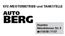 Auto Berg